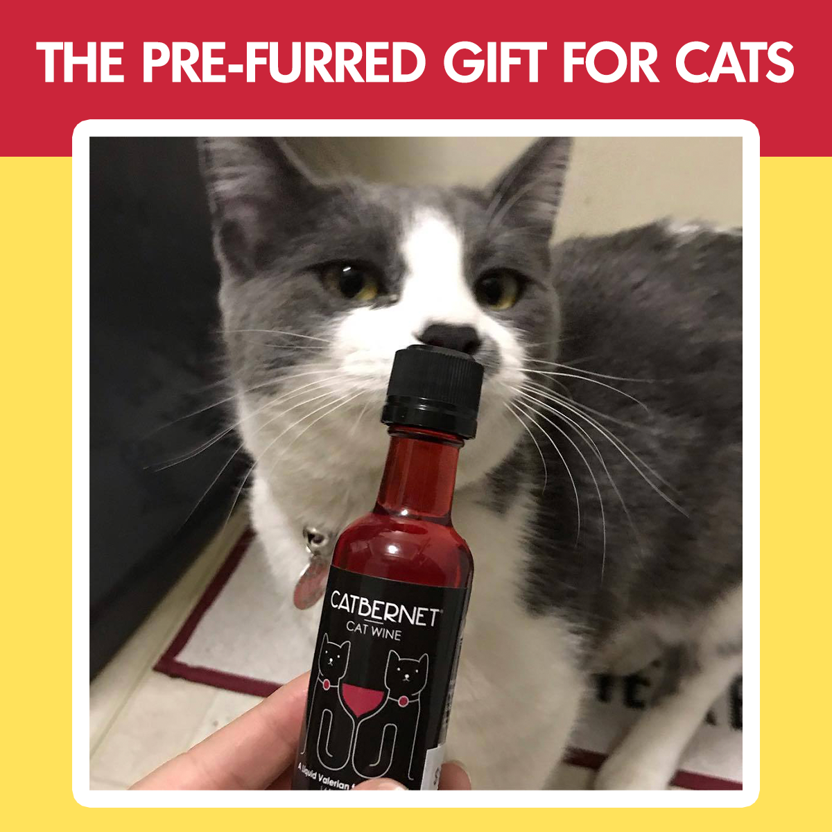 Cat Wine Pawty Pack