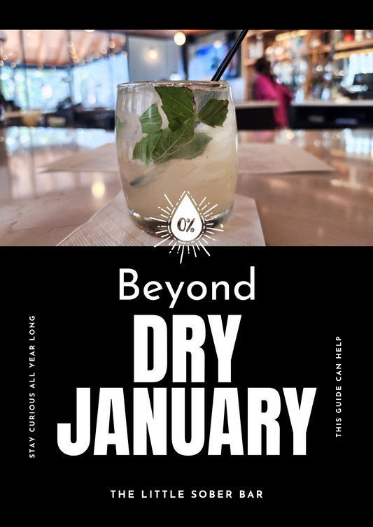 Beyond Dry January2025 EBook