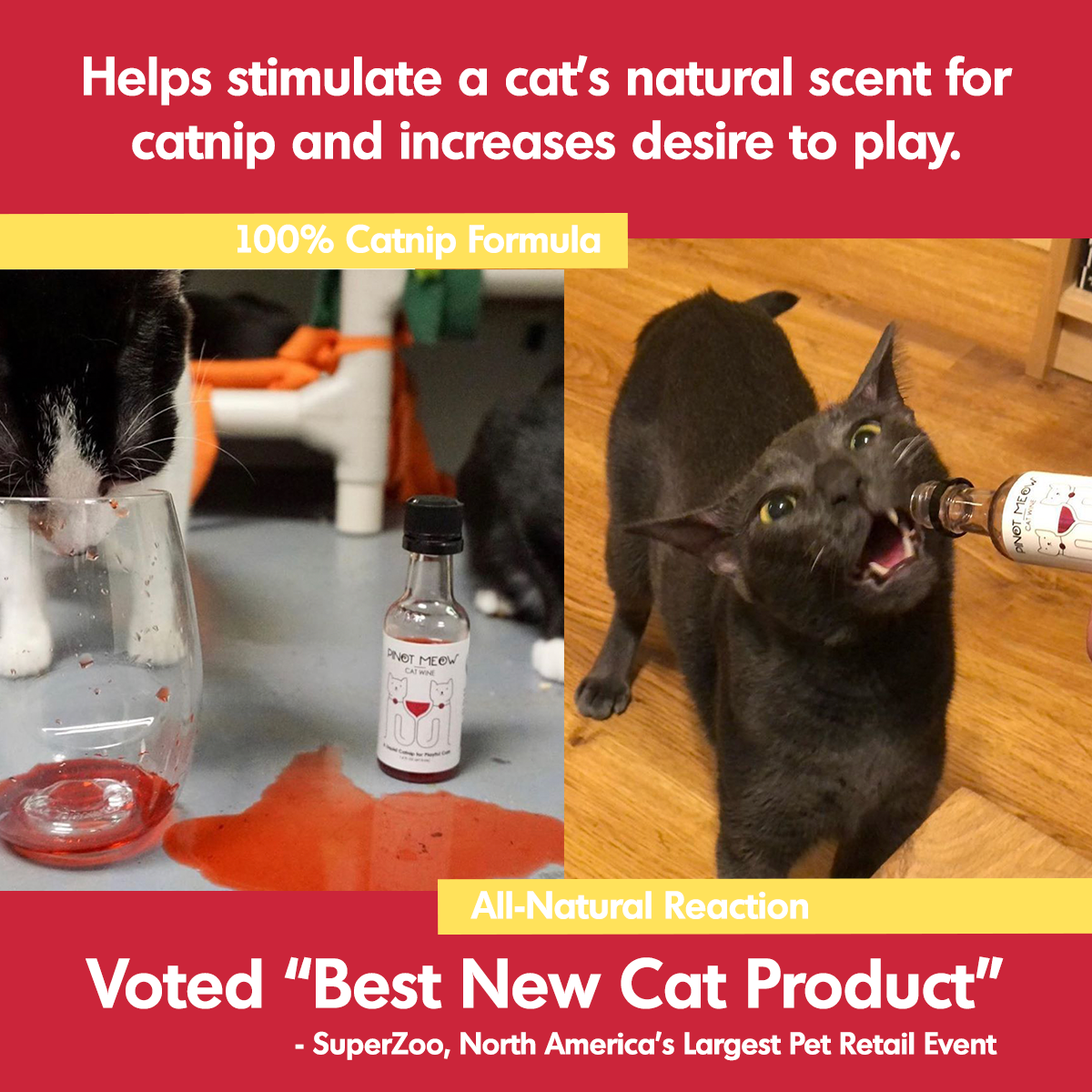 Cat Wine Pawty Pack