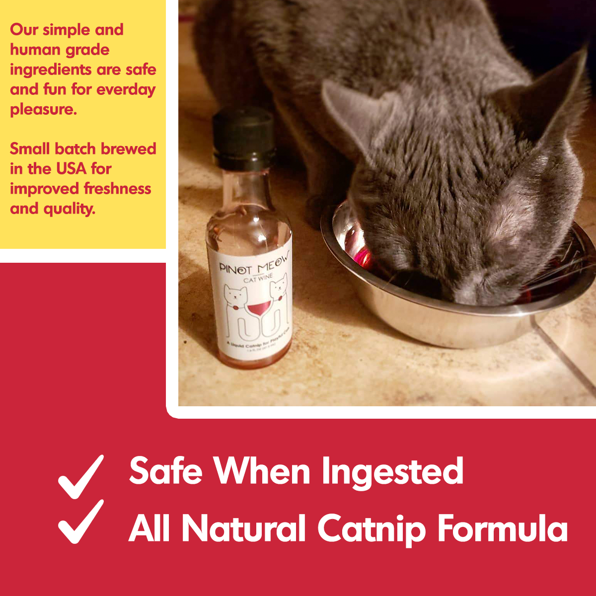 Cat Wine Pawty Pack